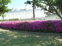 P1000416.JPG